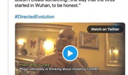 辉瑞高管爆料视频,疫苗研发内幕与真实效果大曝光